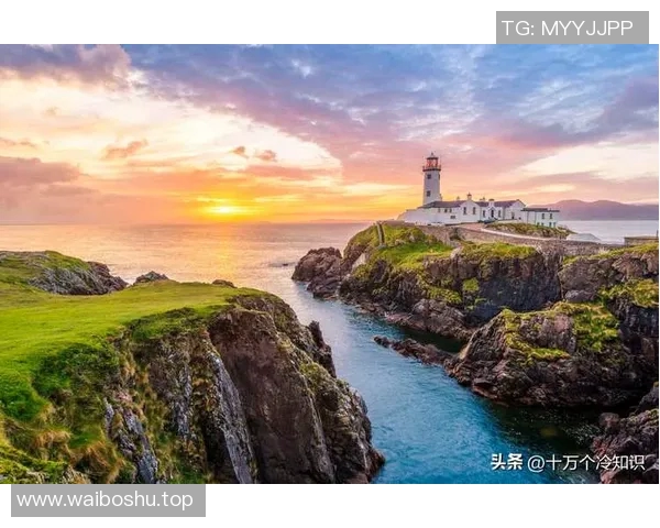 揭秘多特蒙德你未曾了解的十个隐藏冷知识